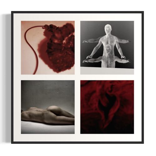 Autopsy of Love II (2002-2024)